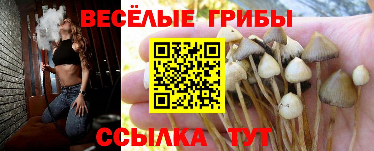 Бошки Шишки  Экстази  NBOMe  Вход с VPN  Тюмень  Мефедрон  